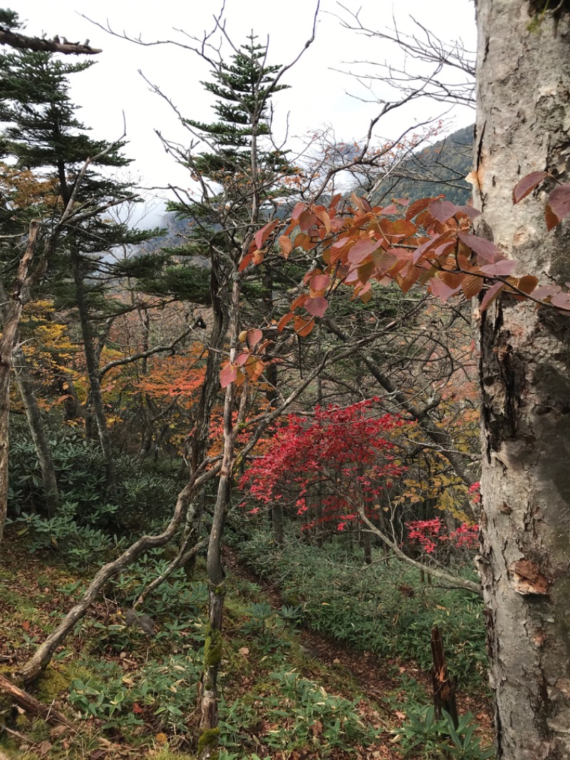 うっすーさんのYUKALA 小山店のサ活写真