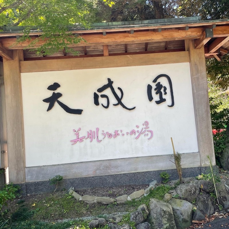 めっちさんの箱根湯本温泉 天成園のサ活写真