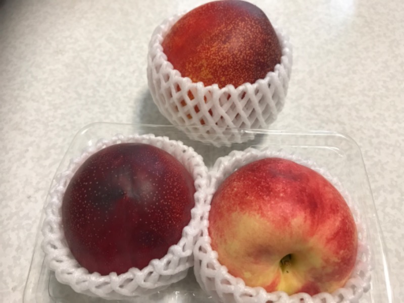 Specialweek　左京さんの湯乃泉 草加健康センターのサ活写真