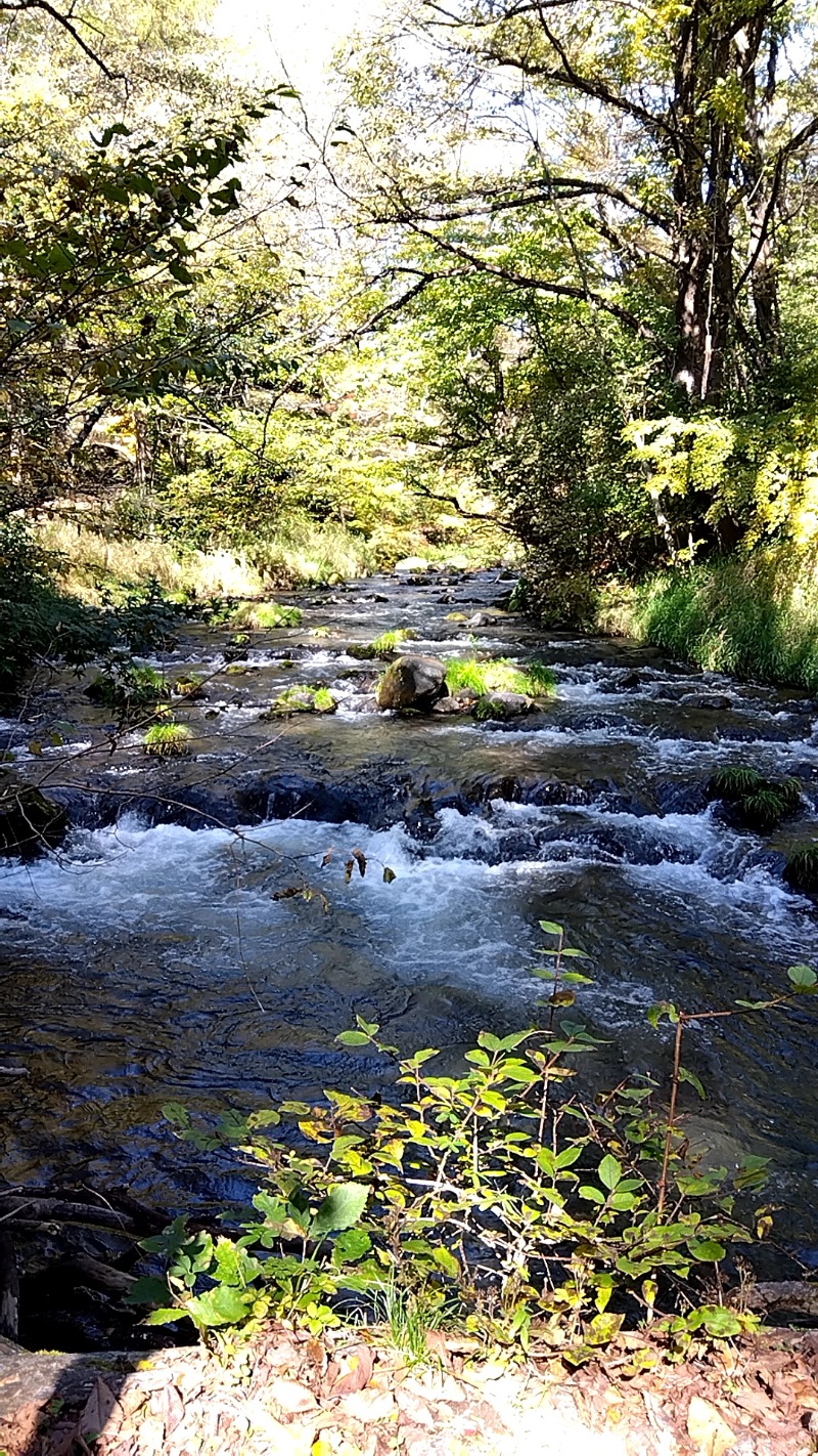 rosa49さんの星野温泉 トンボの湯のサ活写真