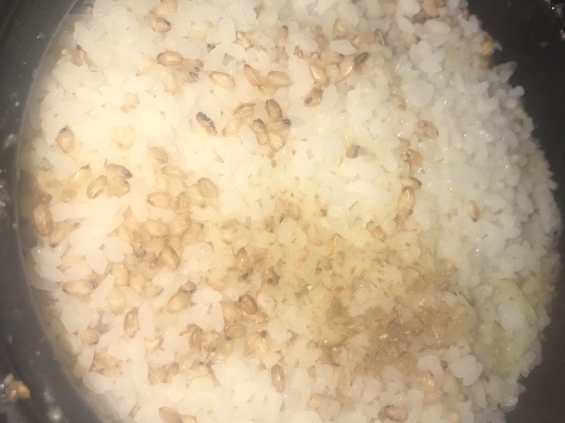 ゆきひかり土鍋炊き、炒り玄米&生姜混ぜて