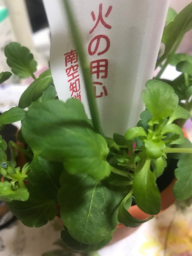 tacchy 魔都サッポロがスキすぎるさんのなんぽろ温泉ハート&ハートのサ活写真