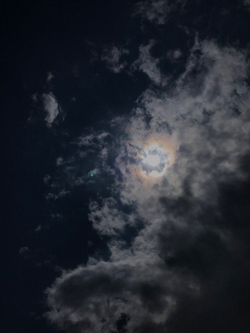 tacchy 魔都サッポロがスキすぎるさんの森林公園温泉 きよらのサ活写真