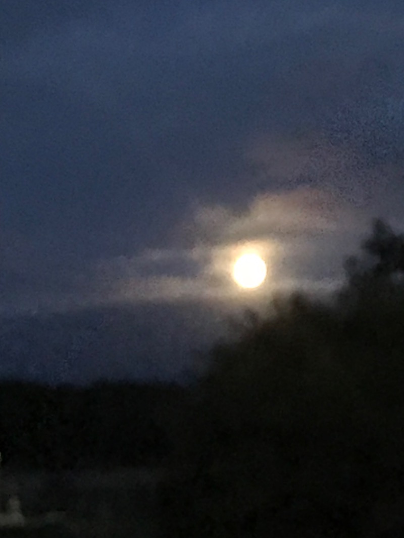 tacchy 魔都サッポロがスキすぎるさんの森林公園温泉 きよらのサ活写真