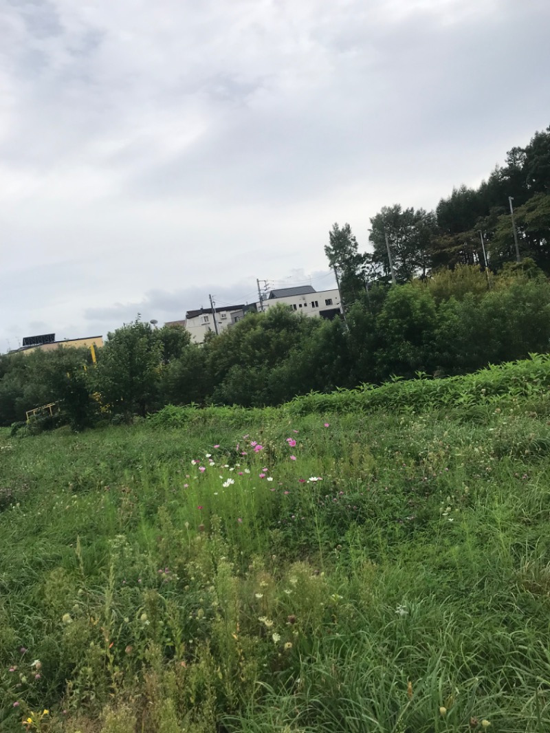 tacchy 魔都サッポロがスキすぎるさんの森林公園温泉 きよらのサ活写真