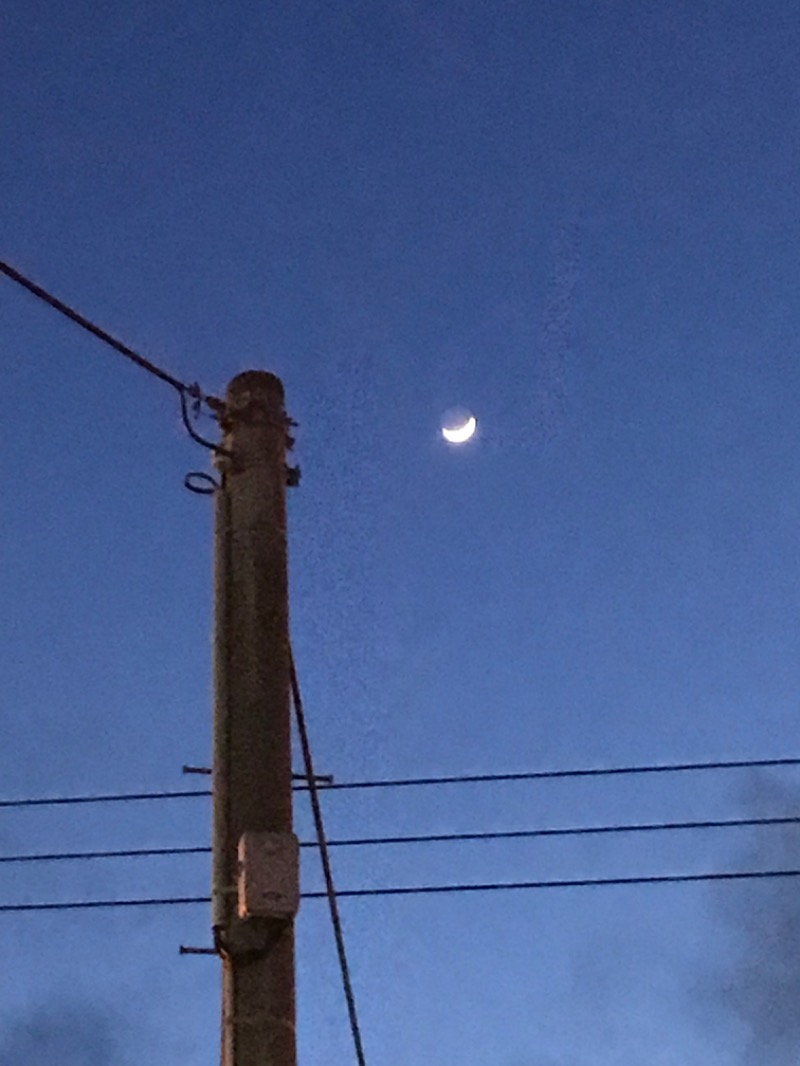 tacchy 魔都サッポロがスキすぎるさんの円山温泉のサ活写真