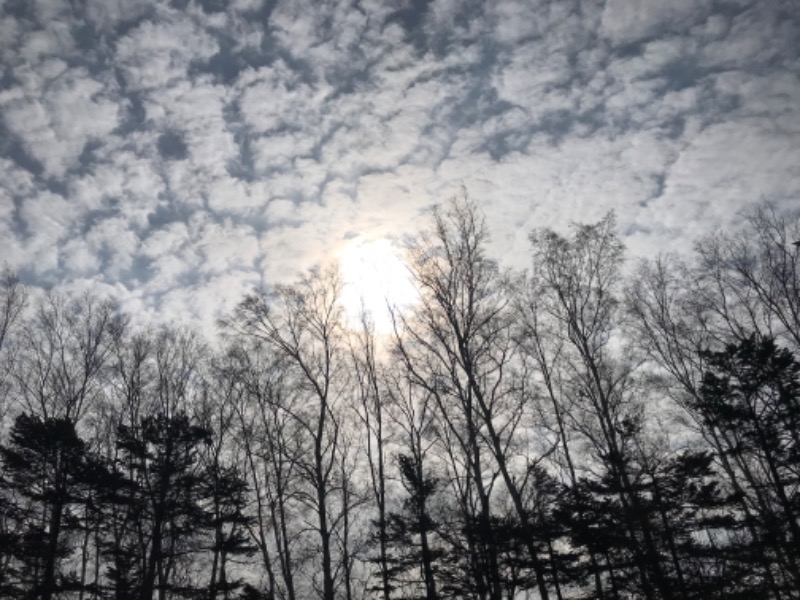 tacchy 魔都サッポロがスキすぎるさんの湯の郷 絢ほのかのサ活写真