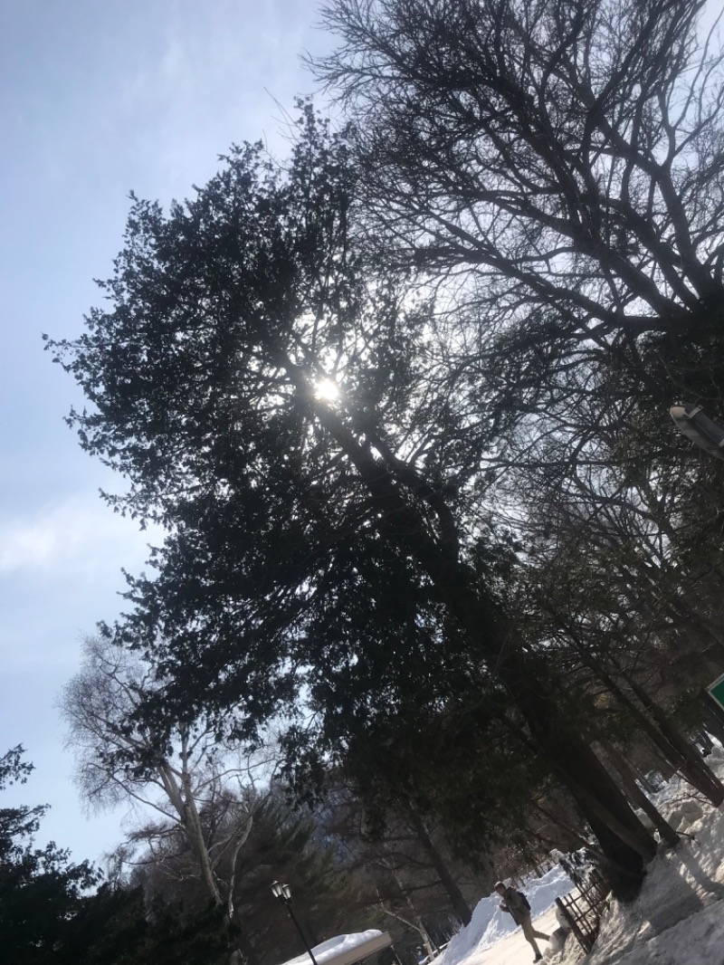 tacchy 魔都サッポロがスキすぎるさんの湯の郷 絢ほのかのサ活写真