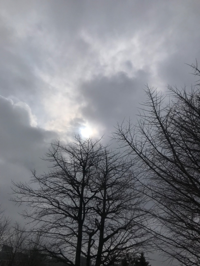 tacchy 魔都サッポロがスキすぎるさんの湯の郷 絢ほのかのサ活写真