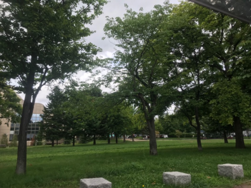 tacchy 魔都サッポロがスキすぎるさんの湯の郷 絢ほのかのサ活写真