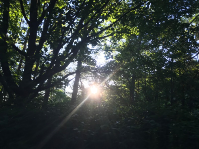 tacchy 魔都サッポロがスキすぎるさんの幣舞の湯 ドーミーインPREMIUM釧路のサ活写真