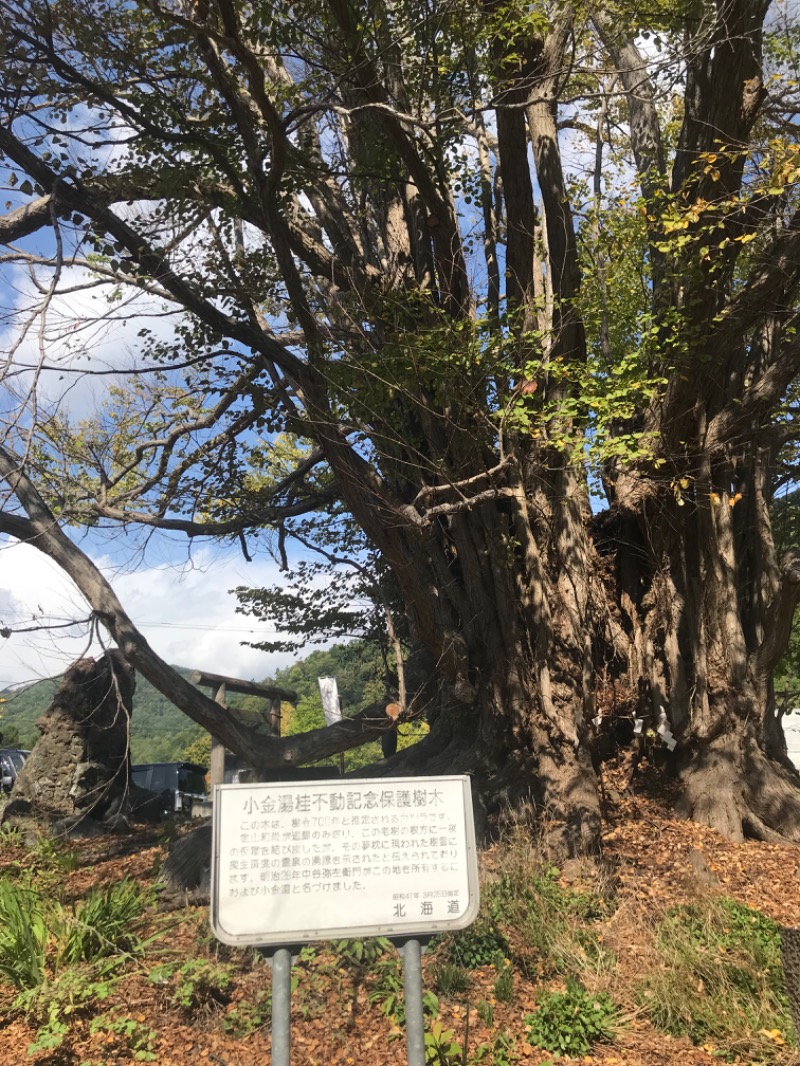 tacchy ブレないウソつかないさんの小金湯温泉 湯元 小金湯のサ活写真