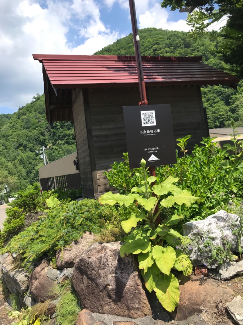 tacchy ブレないウソつかないさんの小金湯温泉 湯元 小金湯のサ活写真