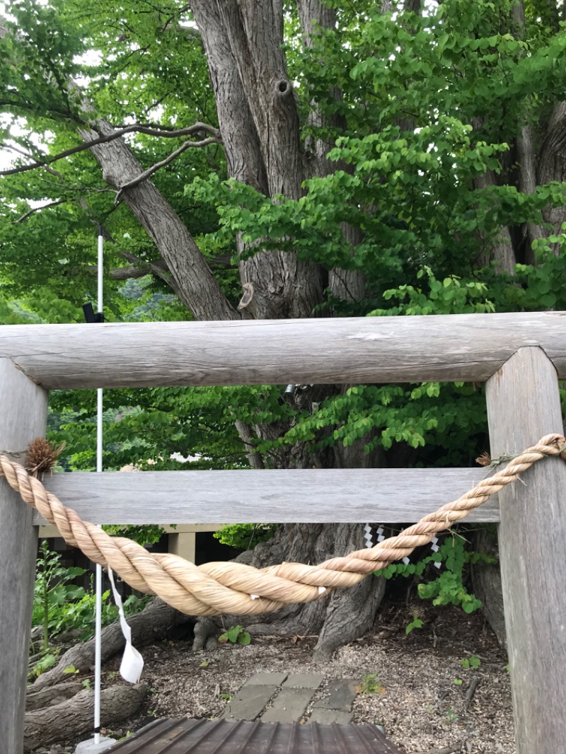 tacchy ブレないウソつかないさんの小金湯温泉 湯元 小金湯のサ活写真