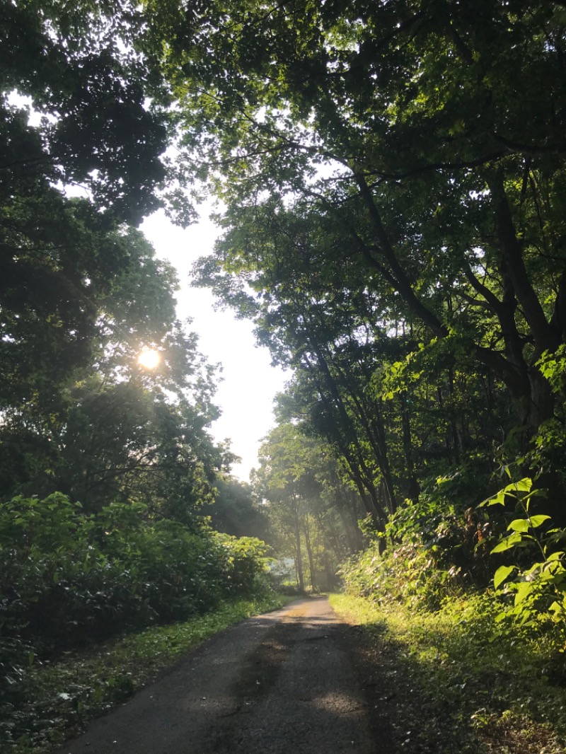 tacchy 魔都サッポロがスキすぎるさんの小金湯温泉 湯元 小金湯のサ活写真