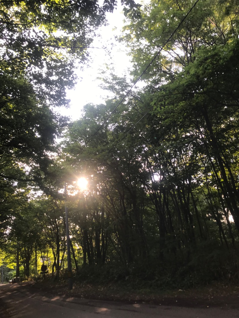 tacchy 魔都サッポロがスキすぎるさんの小金湯温泉 湯元 小金湯のサ活写真