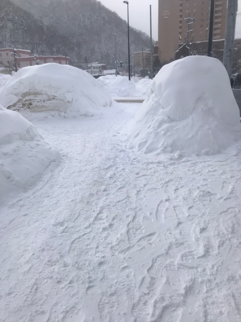 tacchy 魔都サッポロがスキすぎるさんの定山渓万世閣ホテルミリオーネのサ活写真