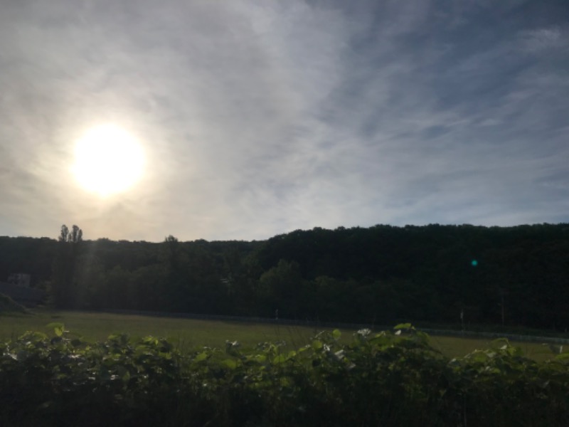 tacchy 魔都サッポロがスキすぎるさんの定山渓万世閣ホテルミリオーネのサ活写真