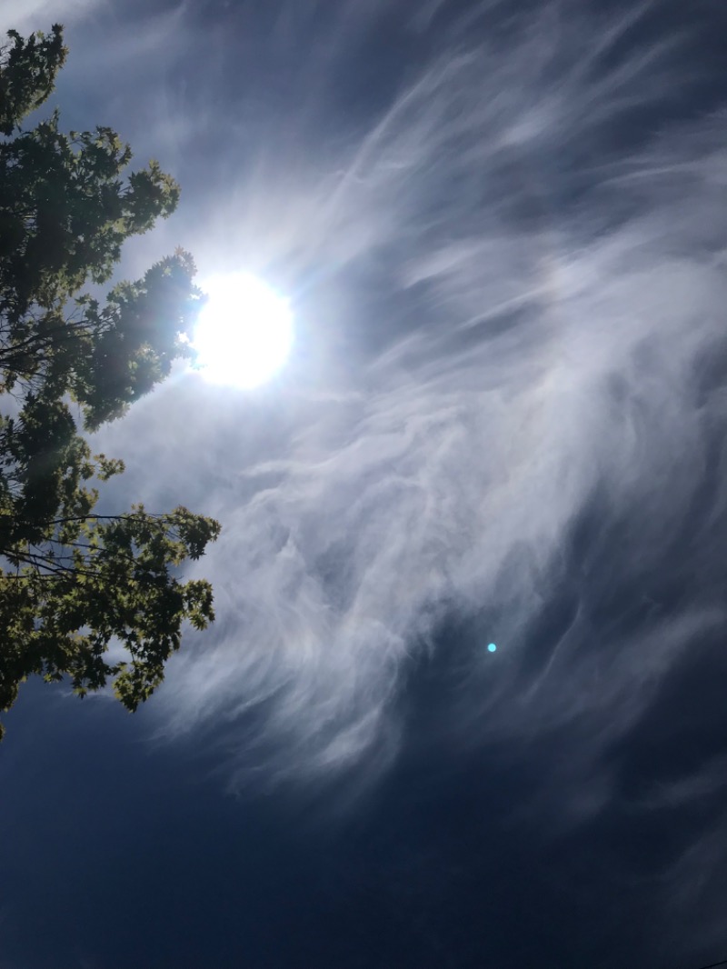 tacchy 魔都サッポロがスキすぎるさんの定山渓万世閣ホテルミリオーネのサ活写真