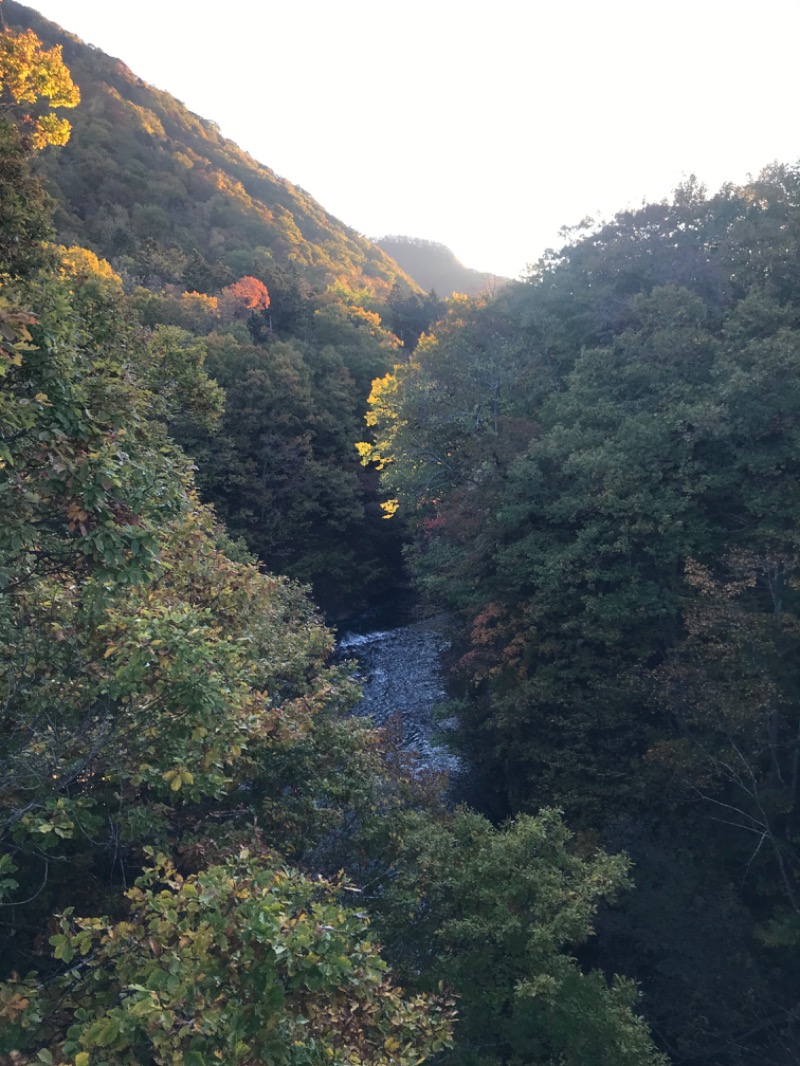 tacchy ブレないウソつかないさんの定山渓万世閣ホテルミリオーネのサ活写真