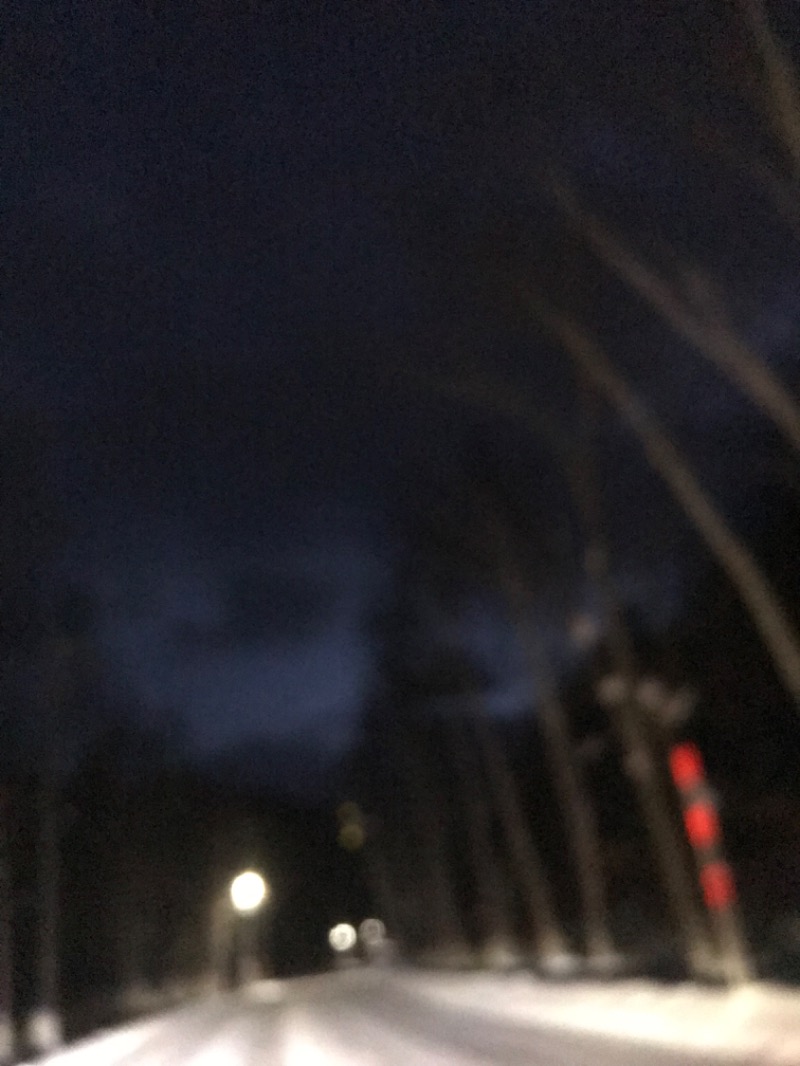 tacchy 魔都サッポロがスキすぎるさんの定山渓万世閣ホテルミリオーネのサ活写真