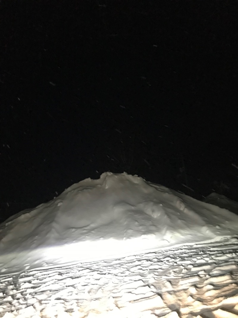 tacchy 魔都サッポロがスキすぎるさんの定山渓万世閣ホテルミリオーネのサ活写真