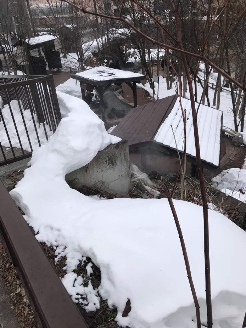 tacchy 魔都サッポロがスキすぎるさんの定山渓万世閣ホテルミリオーネのサ活写真