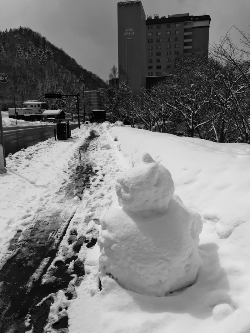 tacchy 魔都サッポロがスキすぎるさんの定山渓万世閣ホテルミリオーネのサ活写真