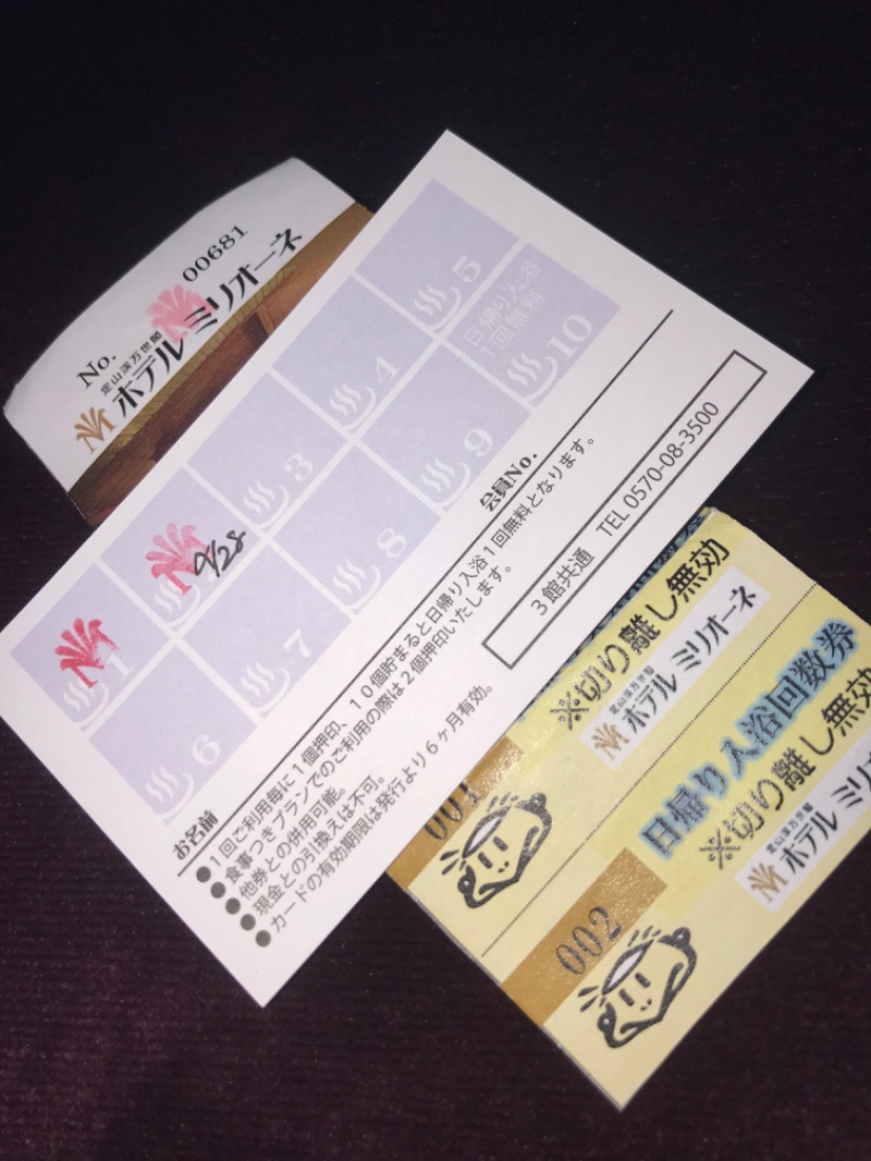 tacchy 魔都サッポロがスキすぎるさんの定山渓万世閣ホテルミリオーネのサ活写真
