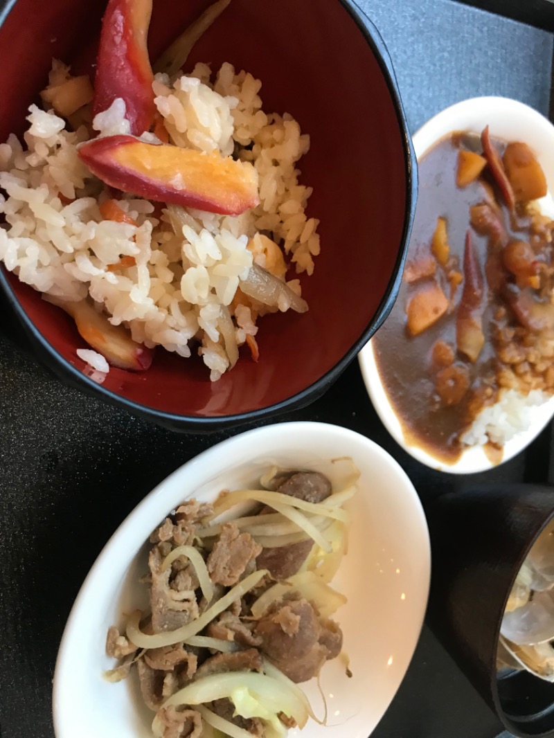 tacchy 魔都サッポロがスキすぎるさんの樽前の湯 ドーミーイン苫小牧のサ活写真