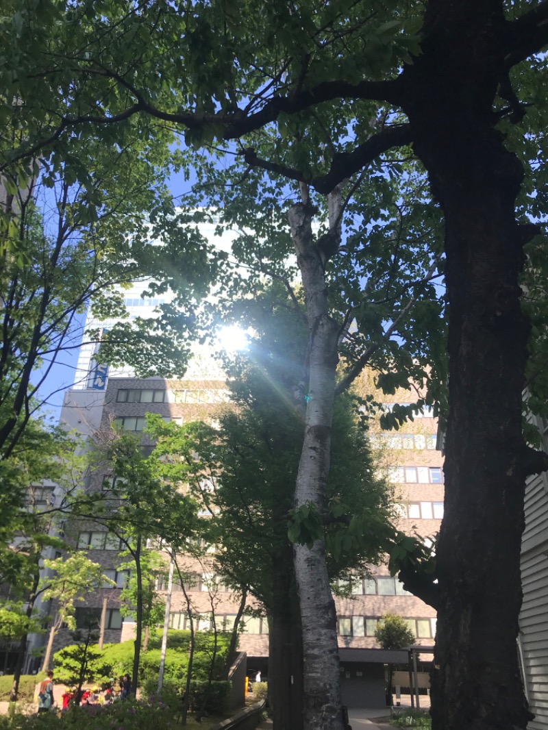 tacchy 魔都サッポロがスキすぎるさんのSAN GRAN FIT(SAN GRAN HOTEL 札幌大通公園)のサ活写真