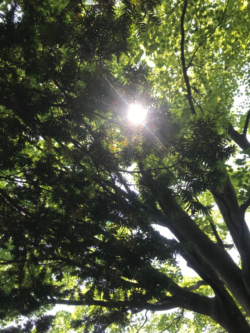 tacchy 魔都サッポロがスキすぎるさんのSAN GRAN FIT(SAN GRAN HOTEL 札幌大通公園)のサ活写真