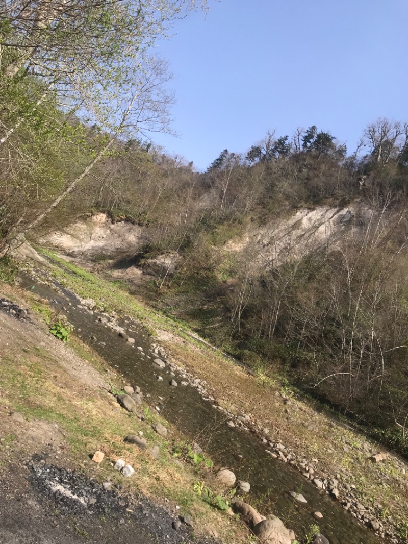 tacchy 魔都サッポロがスキすぎるさんの奥札幌の秘湯 湖畔の宿支笏湖 丸駒温泉旅館のサ活写真