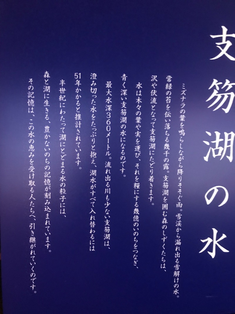 tacchy 魔都サッポロがスキすぎるさんの奥札幌の秘湯 湖畔の宿支笏湖 丸駒温泉旅館のサ活写真