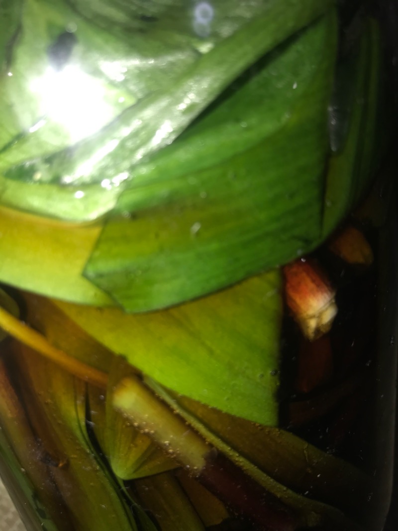 tacchy 魔都サッポロがスキすぎるさんの月見湯のサ活写真