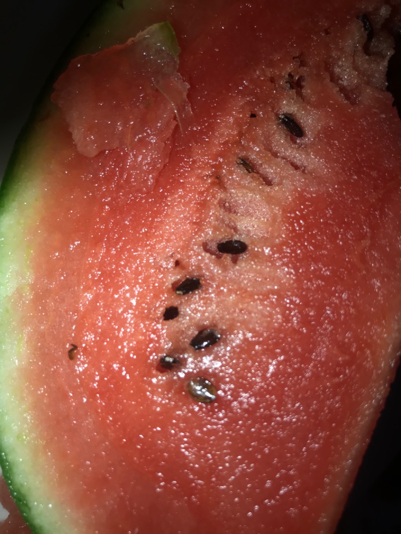 tacchy 魔都サッポロがスキすぎるさんの月見湯のサ活写真