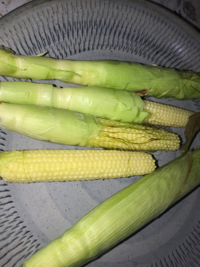 tacchy 魔都サッポロがスキすぎるさんの月見湯のサ活写真