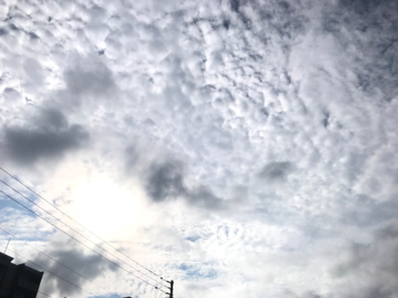 tacchy 魔都サッポロがスキすぎるさんの月見湯のサ活写真