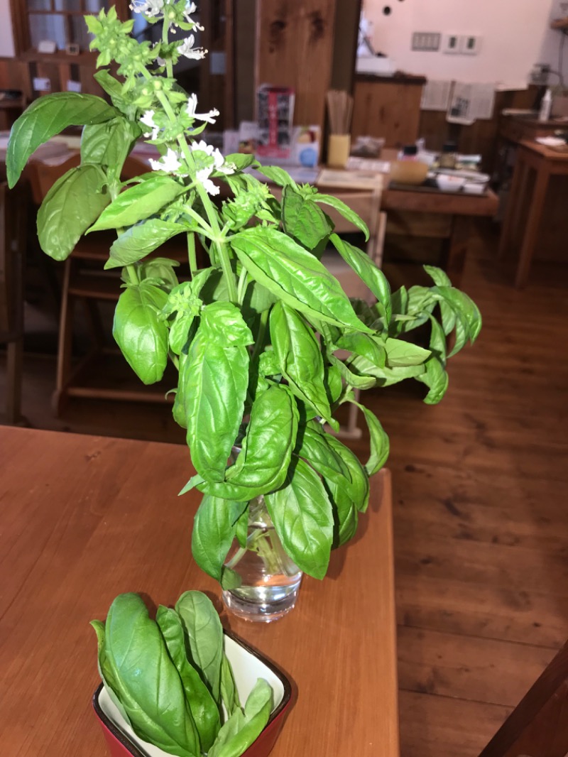 tacchy 魔都サッポロがスキすぎるさんの月見湯のサ活写真