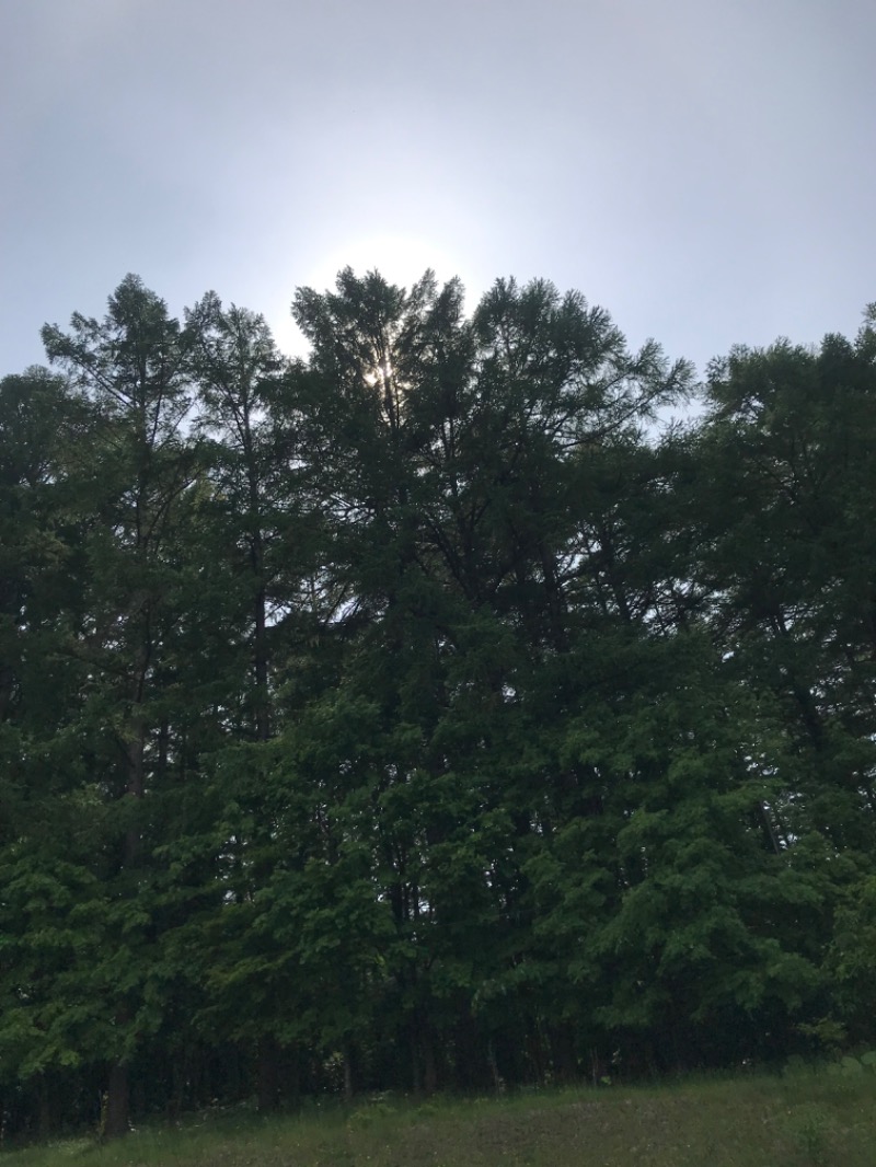 tacchy 魔都サッポロがスキすぎるさんのハイランド ふらののサ活写真