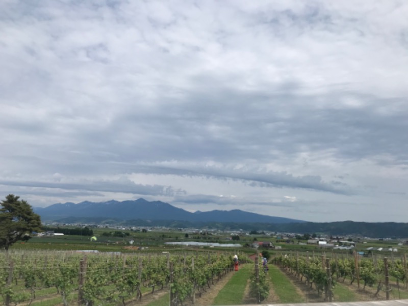 tacchy 魔都サッポロがスキすぎるさんのハイランド ふらののサ活写真