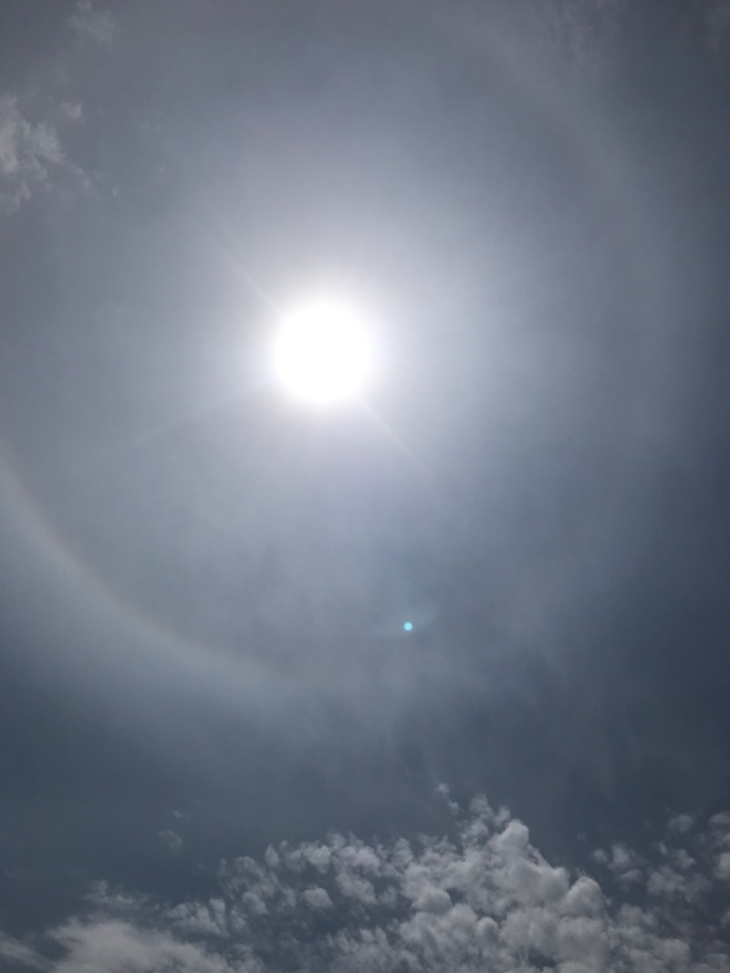 tacchy 魔都サッポロがスキすぎるさんのハイランド ふらののサ活写真