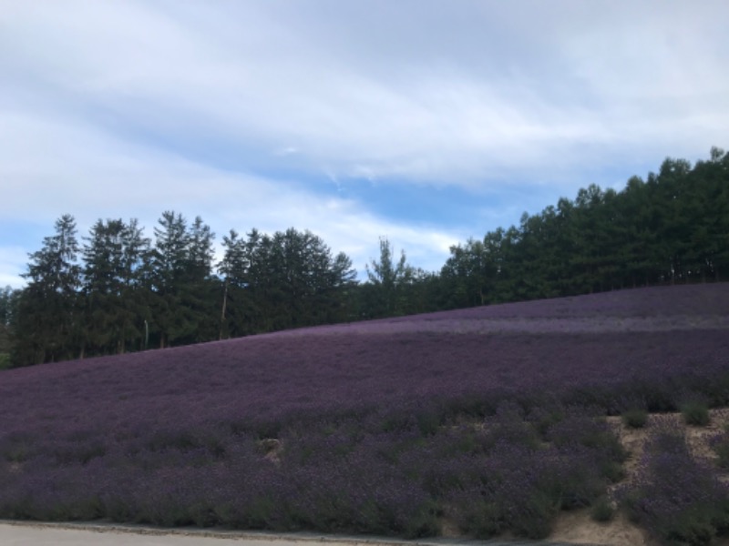 tacchy 魔都サッポロがスキすぎるさんのハイランド ふらののサ活写真