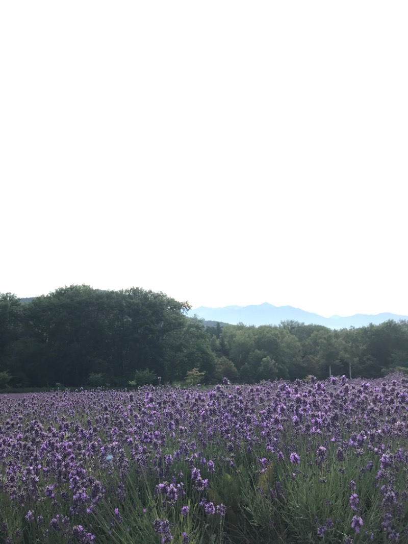 tacchy 魔都サッポロがスキすぎるさんのハイランド ふらののサ活写真