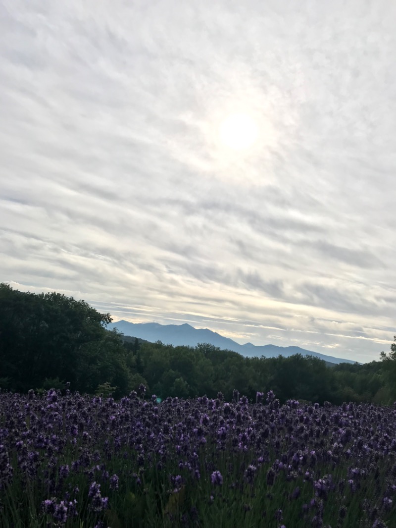 tacchy 魔都サッポロがスキすぎるさんのハイランド ふらののサ活写真