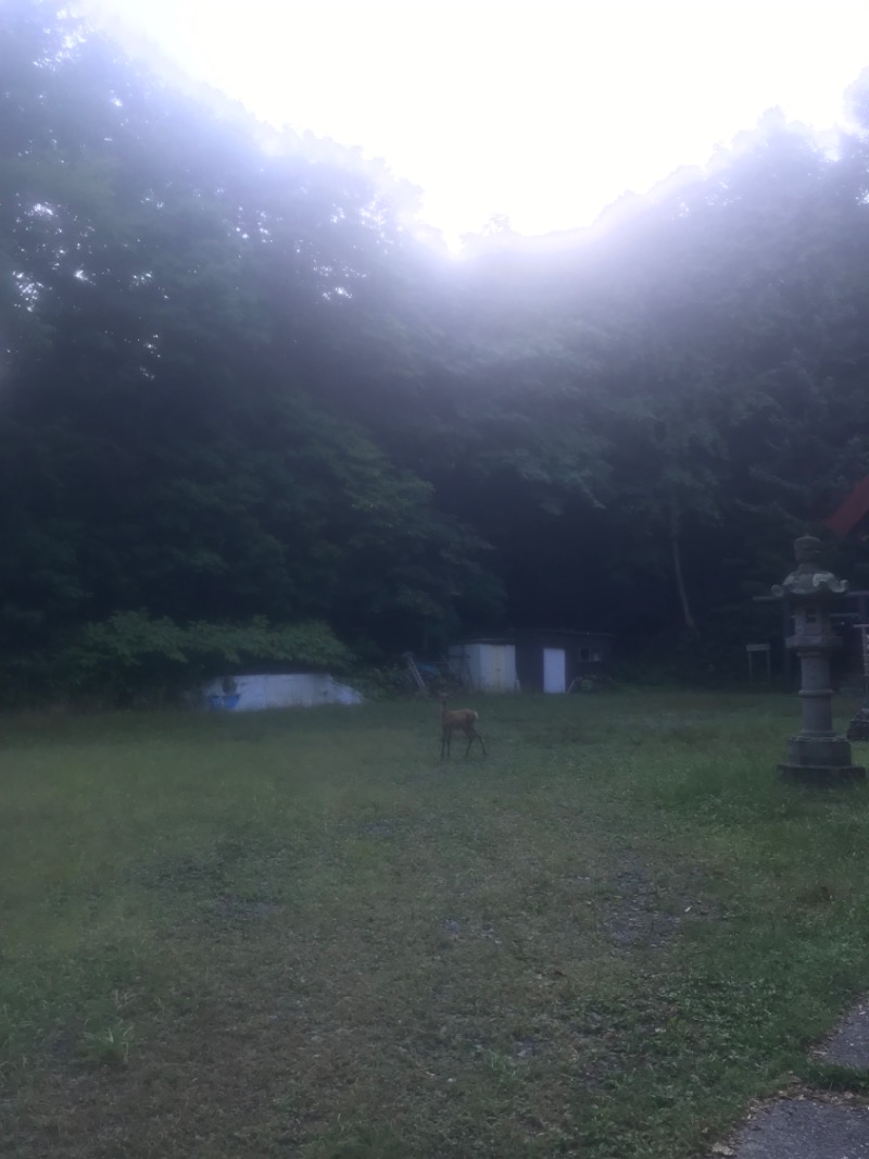 tacchy ブレないウソつかないさんのスポーツアカデミー ブランチ 札幌月寒のサ活写真