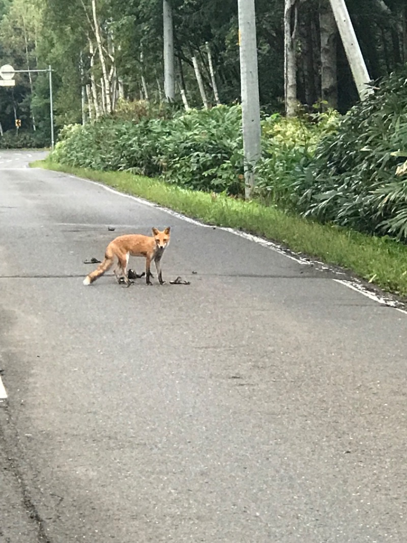 tacchy ブレないウソつかないさんのスポーツアカデミー ブランチ 札幌月寒のサ活写真