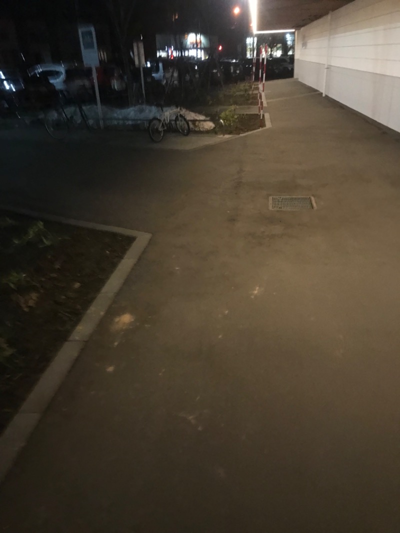 tacchy 魔都サッポロがスキすぎるさんのスポーツアカデミー ブランチ 札幌月寒のサ活写真