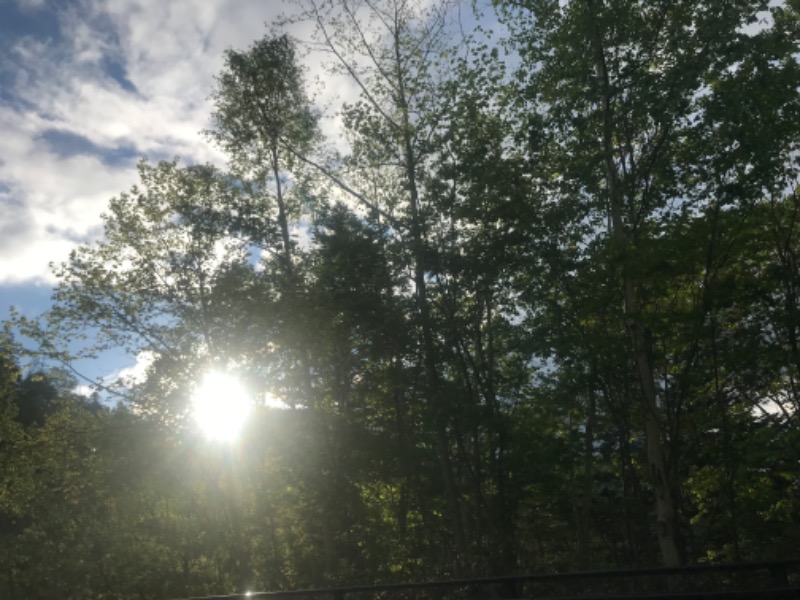 tacchy 魔都サッポロがスキすぎるさんのスポーツアカデミー ブランチ 札幌月寒のサ活写真