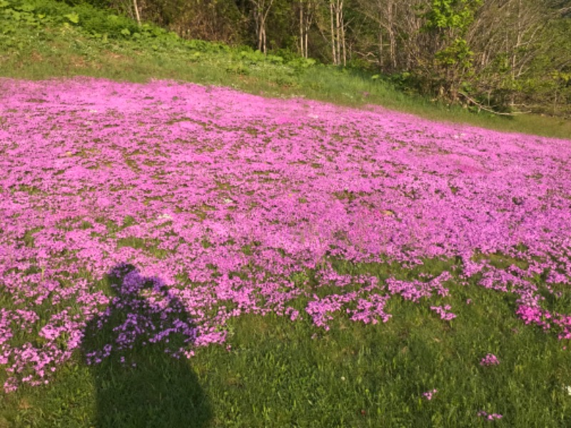 tacchy 魔都サッポロがスキすぎるさんのスポーツアカデミー ブランチ 札幌月寒のサ活写真